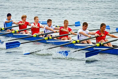 Illustration row - Image 1