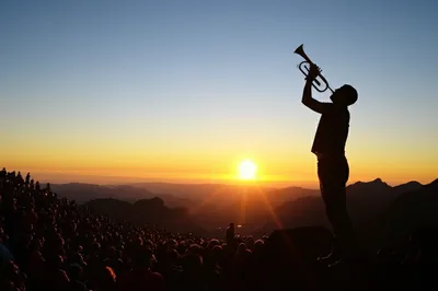 Illustration claim - Image 1