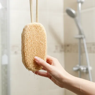 Illustration luffas - Image 1