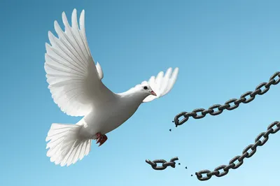 Illustration innocent - Image 1