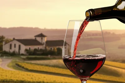 Illustration merlot - Image 1