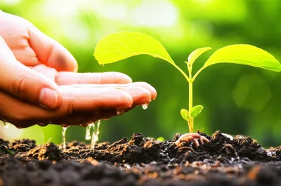 Illustration nurture - Image 1