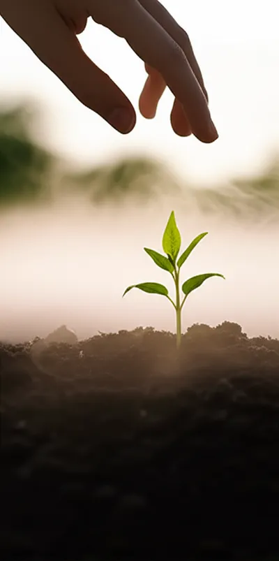 Illustration draughts - Image 2