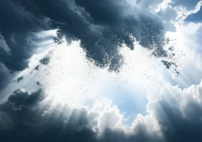 Illustration dispelled