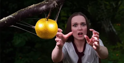 Illustration fell - Image 1