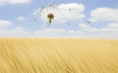 Illustration floated - Image 1