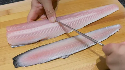 Illustration fillet - Image 1