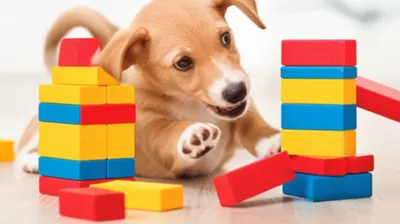 Illustration dung - Image 1