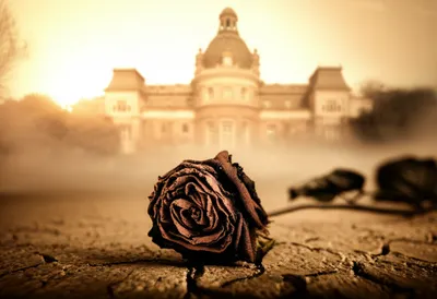 Illustration scorching - Image 1