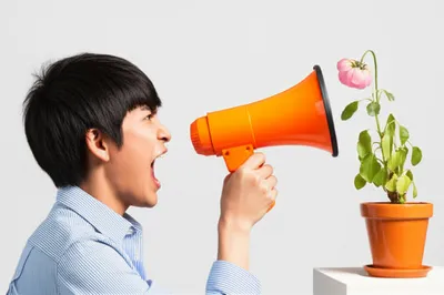 Illustration misuse - Image 1