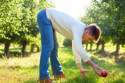 Hình ảnh minh họa stoop - Ảnh 1