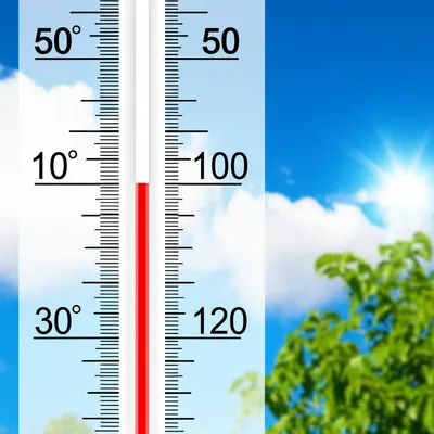 Illustration above - Image 1