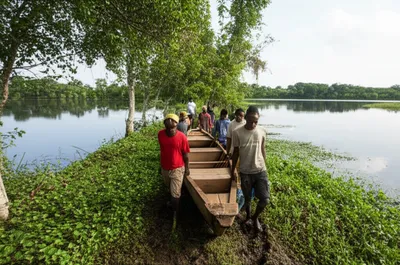 Illustration carry - Image 1