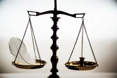 Illustration veracity - Image 1