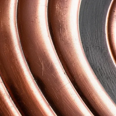 Illustration shells - Image 1