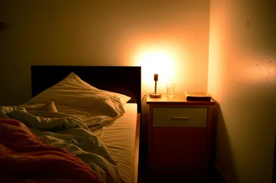 Illustration kip - Image 1