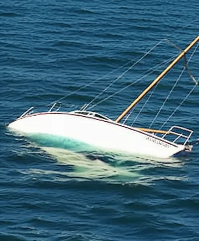 Illustration foundered - Image 1