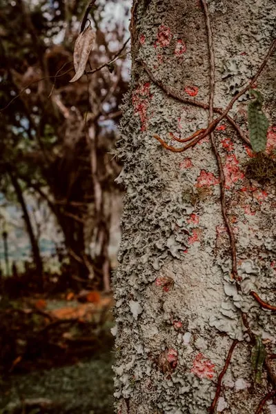 Illustration clingy - Image 2