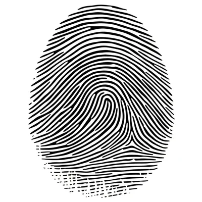 Illustration personal - Image 1