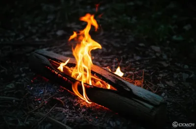 Illustration lighting - Image 1