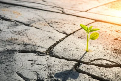 Illustration tenacious - Image 1