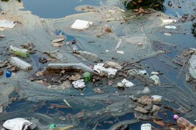 Illustration scummed - Image 1