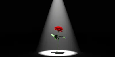 Illustration epigrams - Image 1