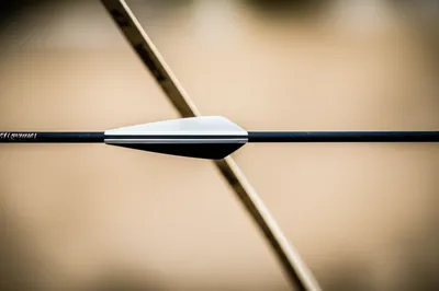 Illustration spine - Image 1