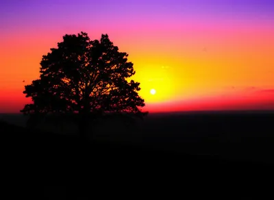 Illustration deepens - Image 1