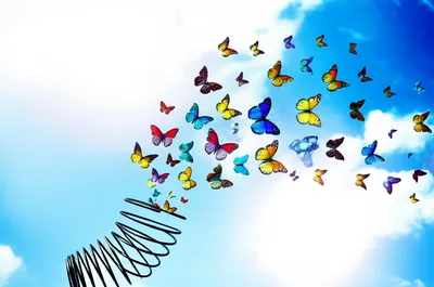 Illustration release - Image 1