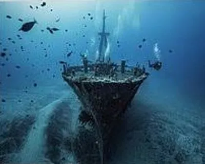 Illustration bottom - Image 5