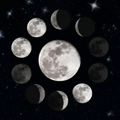 Illustration month - Image 1