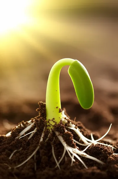 Illustration commencement