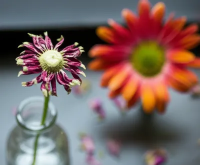 Illustration diminutions