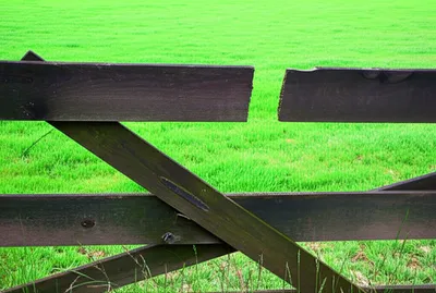 Illustration creeps - Image 1