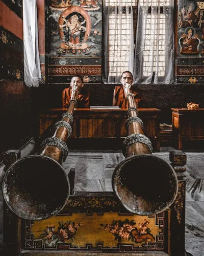 Illustration trumps - Image 2