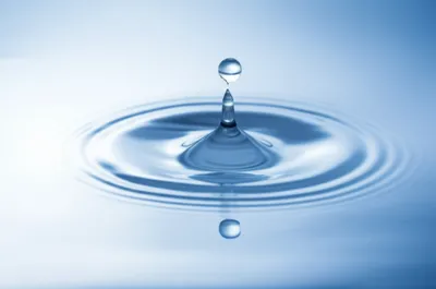 Illustration ping - Image 1