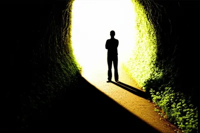 Illustration demurs - Image 1