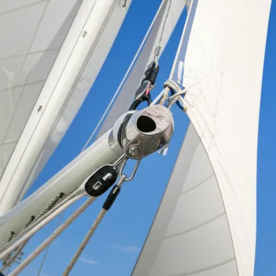 Illustration clew - Image 1