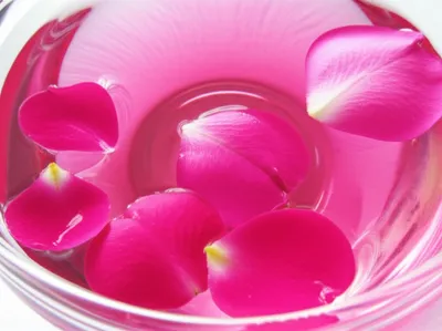 Illustration rosewater - Image 1