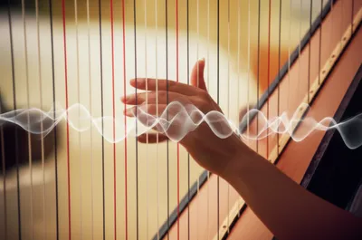 Illustration thrum - Image 1