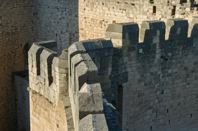 Illustration spurs - Image 1