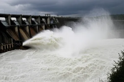 Illustration spate - Image 1