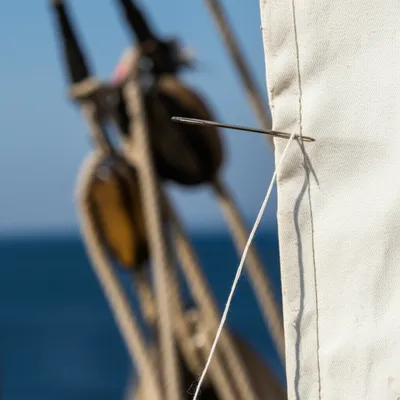 Illustration pricks - Image 1