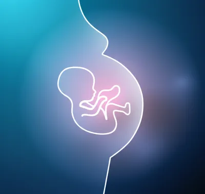 Illustration bred - Image 1