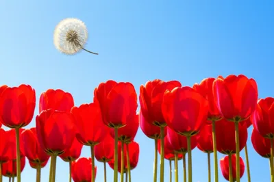 Illustration aliens - Image 2