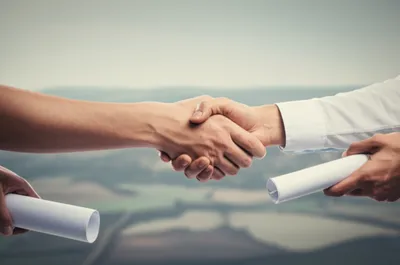 Illustration concord - Image 1