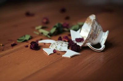 Illustration broken - Image 1