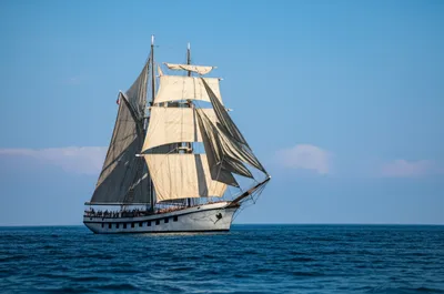 Illustration rode - Image 1