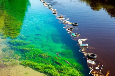 Illustration blend - Image 1